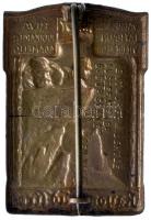 Osztrák-Magyar Monarchia 1915-1917. "Dél-Tiroli Országvédelem" réz sapkajelvény hátoldalon...