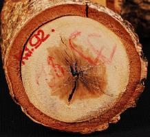 Jakabos István: Női fej IV. Faragott fa, jelzett, m:18 cm