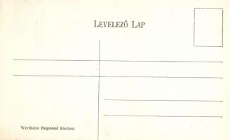 Trencsénteplic, Izraelita templom, zsinagóga; Wertheim Zsigmond kiadása / synagogue