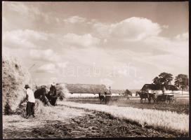 Vincze János (Kecskeméti Fotó Club): Rakodás. Vintage fotó. Aláírt. 29x39 cm