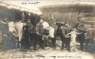 Marhavágásra készülő magyar katonák az orosz fronton / WWI Hungarian soldiers before cattle slaughter, photo
