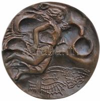 Révész Napsugár (1944-) DN. "MALÉV - A Légiközlekedésért Kifejtett Kimagasló Munkásságáért" bronz plakett (112mm) T:1- Hungary ND. "Malév Hungarian Airlines" commemorative bronze plaque. Sign: Napsugár Révész (112mm) C:AU