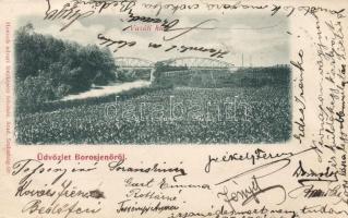 Borosjenő, Vasúti híd / railroad bridge