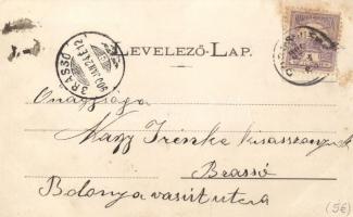 Borosjenő, Vasúti híd / railroad bridge