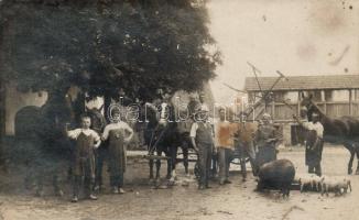 Újarad, Neuarad; farm, photo (fl)