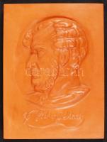 1949 Kisfaludi Stobl Zsigmond (1884-1975): Széchenyi István, Terrakotta. A Közlekedéstudományi Egyesület részére készült plakett. Hátoldalán jelzett. Eredeti műbőr tokban 20 x 15 cm