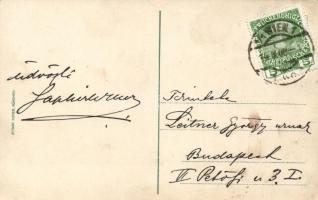 1848-1908 60 Jährige Regierungsjubiläum / Franz Joseph 60th anniversary of reign, set of Austrian st...