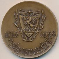 1968. "Békéscsaba / Városunkért" Br emlékérem (50mm) T:2