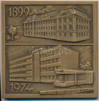 1975. "MN (Magyar Néphadsereg) Központi Katonai Kórház 1945-1975" Br szögletes emlékplaket...