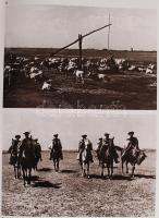 Hofer Tamás-Fél Edit: Magyar népművészet. Bp., 1975, Corvina. Kiadói egészvászon kötés védőborítóval...