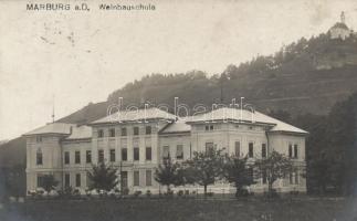 Maribor, Marburg an der Drau; Weinbauschule / 	 vinicultural school
