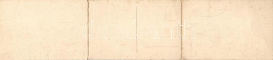 Budapest XXII. Törley Pezsgőgyár panoramacard