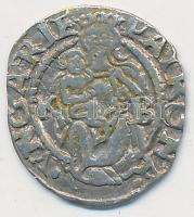 1548K-B Denár Ag "I.Ferdinánd" (0,52g) T:2
Huszár 935., Unger II.:745.a