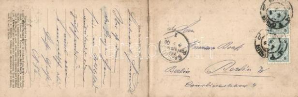 Brno, panoramacard (fl)