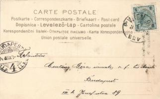 1900 'Fango- und Wasser-Heilanstalt' Art Nouveau litho s: Basch Árpád