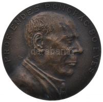 Lapis András (1942-) 1987. "Prof. Endes Pongrác 80 éves" nagyméretű bronz emlékplakett (90mm) T:1- Hungary 1987. "80th Anniversary Birth of Prof. Pongrác Endes" bronze commemorative plaque. Sign.: András Lapis (90mm) C:AU