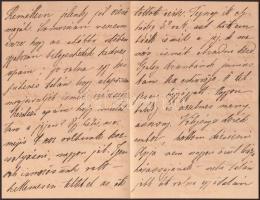 1885 Szél Piroska (1865-1886), Arany János unokájának saját kézzel írt levele édesapjának Szél Kálmá...