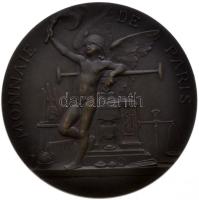 Franciaország 1900. "Párizsi Pénzverde" bronz emlékérem. Szign.: Daniel Dupuis (50mm/58.57...