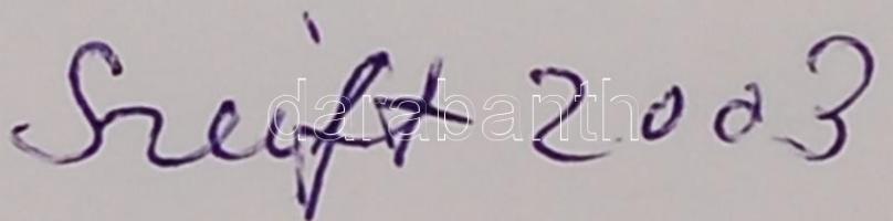 Szeift Béla (1944-): Ördögi lény. Vegyes technika, papír, jelzett, üvegezett keretben, 30×40 cm