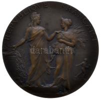 Franciaország ~1920. "Mezőgazdasági Minisztérium / Párizsi mezőgazdasági verseny zsűritagja" bronz emlékérem. Szign.: Alphée Dubois (50mm/52.5g) T:2 France ~1920. "Ministry of Agriculture / Jury member of the agricultural competition" commemorative bronze medallion. Sign: Alphée Dubois (50mm/52.5g) C:XF