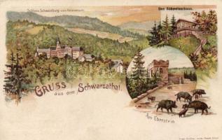 Schwarzatal, Schweizerhaus, Schloss Schwarzburg, litho