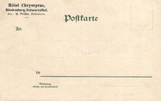 Schwarzatal, Schweizerhaus, Schloss Schwarzburg, litho