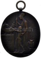 Telcs Ede (1872-1948) 1912. "Budapest Székesfőváros Díja" Br művészeti díjérem mellszalag nélkül (40x35mm/21.7g) T:1- Hungary 1912. "Award medal of Budapest" bronz medal without ribbon. Sign: Ede Telcs (40x35mm/21.7g) C:AU HP-6109.