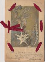 Élővirágos képeslap, Brummel József kiadása / Real edelweiss, floral greeting card