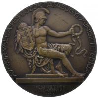 Reményi József (1887-1977) 1928. "A M. Kir. Vallás és Közoktatásügyi Miniszter Díja / Országos Dalosverseny" Br emlékérem (80mm) T:1- 1928. Price of the Royal Hungarian Minister of Religion and Education / National Singing Competition, Br medallion (80mm) sign.: József Reményi C:AU HPII-4451.