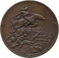 Német Birodalom 1915. "I. Világháború" bronz emlékérem előoldalon harcoló katonákkal, fele...