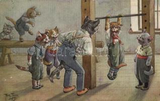 Cats, gym class; Theo. Stroefer, Nürnberg Serie 1726. s: Arthur Thiele