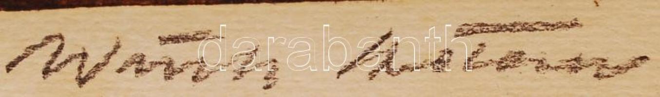 Würtz Ádám (1927-1994): Mesevilág. Színezett linó, papír, jelzett, üvegezett keretben, 54×34 cm