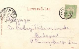 Balatonlelle-fürdőtelep, Reiter-, Boczán-, Mooskonyi- és Lisznay-villák; kiadja Wollák József