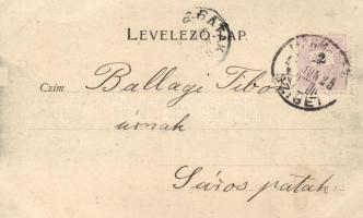 1899 Máramarossziget, Főtér, vásártér; Mayer és Berger kiadása / main square, market place