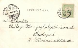 Balaton, Halászat III. rész; a háló kivetése; kiadja Ellinger Ede