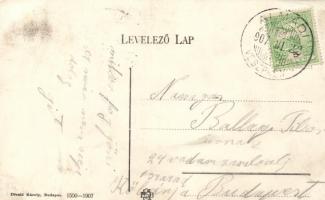 A Baross gőzös Balatonalmádinál; Divald Károly