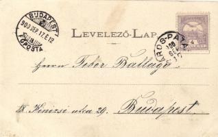 Bodrogolaszi, Kastély, Özv. Stefánia trónörökösné lakhelye