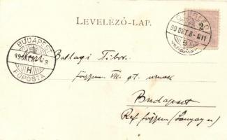 1899 Cegléd, Városháza, Kossuth tér; Sebők Béla kiadása