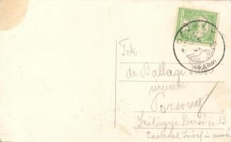 A Carl Ludwig gőzös Dévénynél / SS Carl Ludwig Theben an der Donau