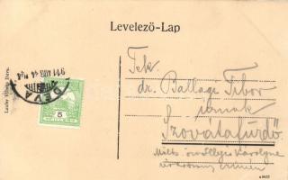 Déva, Városi színház; Laufer Vilmos kiadása / theatre