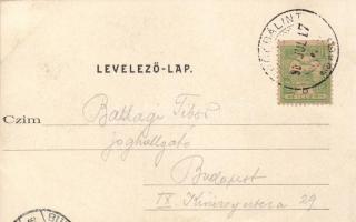 Törökbálint, Divald Károly