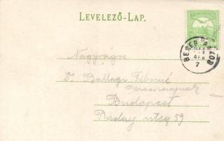 Ungvár, Katolikus gimnázium, görög katolikus tanintézet / Catholic and greek catholic schools; flora...