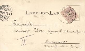 1899 Stájerlak, Steierdorf (Anina);