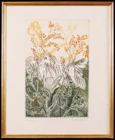 Kádár Katalin (1951): Mimóza. Színezett rézkarc. Jelzett. 30x20 cm keretben