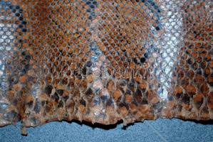 1960 előtt: Szikla piton - kígyóbőr / Snake leather 4,5m max 45 cm