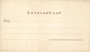 Budapest 1602 A királyi palota nyugoti oldala; Geittner és Rausch kiadása