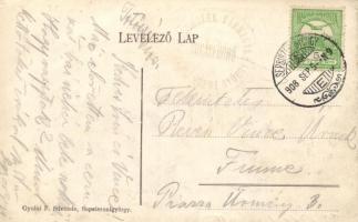 Sugásfürdő, Gőzlő, Berta- és Jenő-villa, hideg fürdő / spa buildings