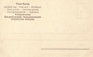 Venice, Venezia; Canal Grande, Alberghi, litho s: Mernagazzi