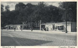 Kaliningrad, Königsberg i. Pr.; Tiergarten / ZOO