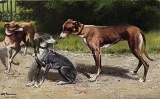 Sighthounds, T.S.N. Serie 1823 s: Alfred Schönian (Rb)